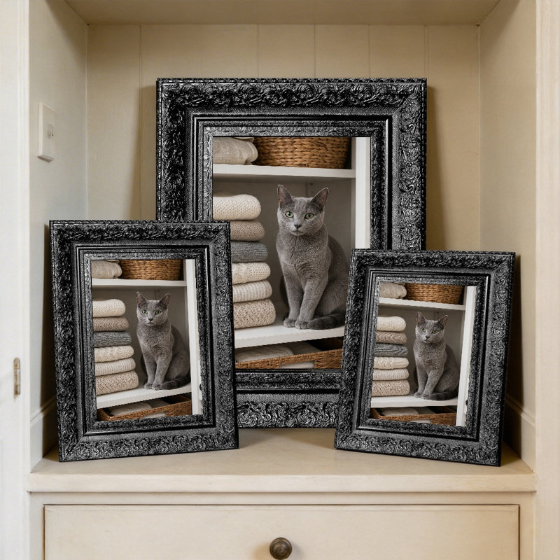 Cadre photo noir 1PC 11 "x 14" avec forme rectangulaire classique, Noir, 1, L 11 po x H 14 po