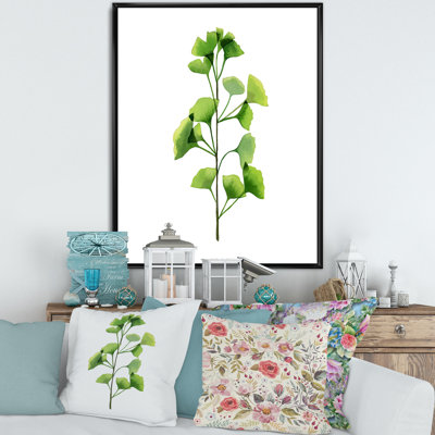 " Field Plant Foliage "