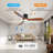 Ceiling Fans 99714CF3F1404560B38B24D4DB9FE151