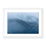 Winter Trees II Print by Michael Schauer