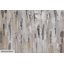 Acrylbild Double Vision von Kamila Wu