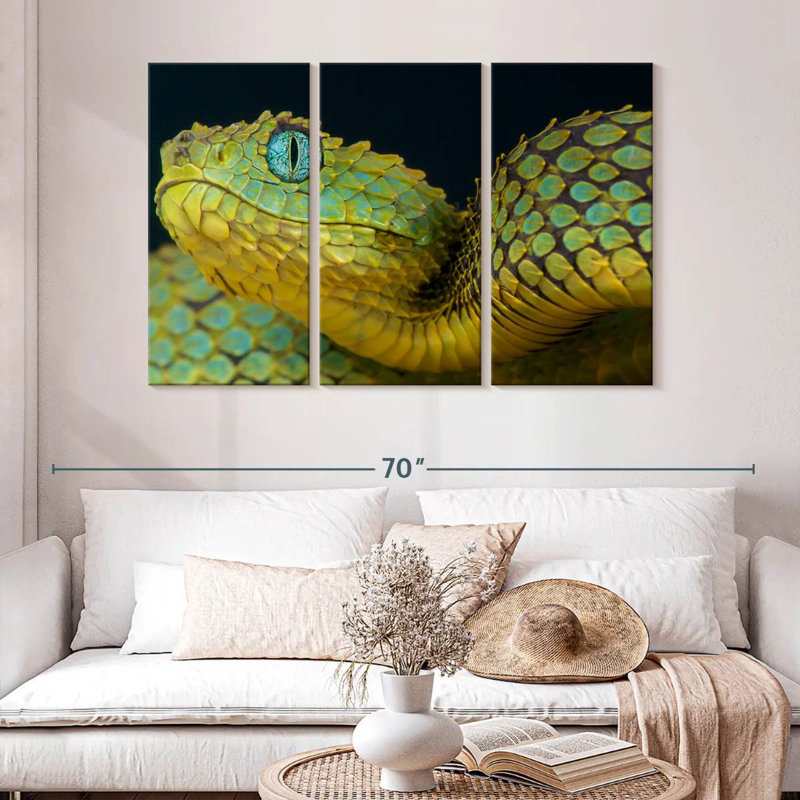 Brampt African Bush Viper, 32" H x 50" W