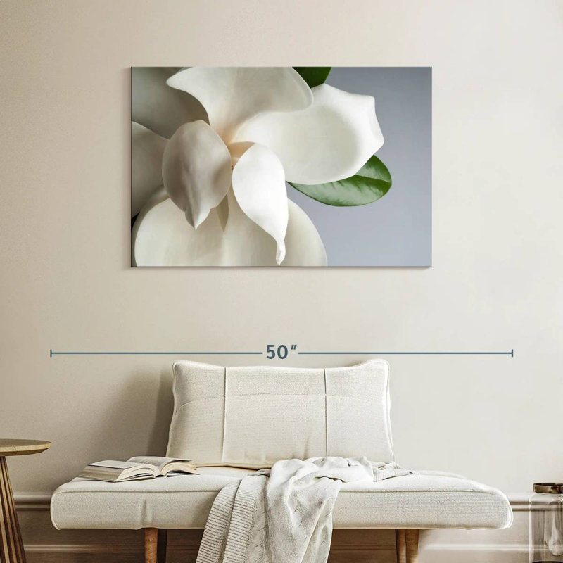 Magnolia blanc Harnek, H 26 po x l 39 po