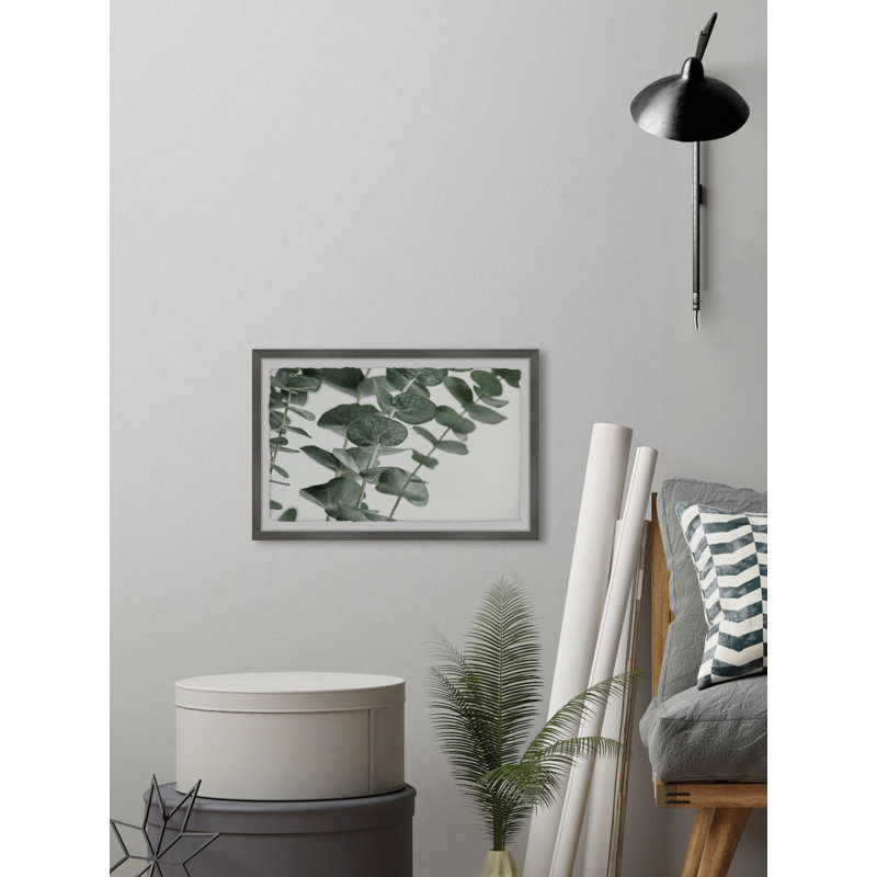 Silver Dollar Eucalyptus - Single Picture Frame Painting, 61 cm H x 91 cm W
