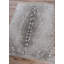 Tapis gris / gris à imprimé animal Dancy-268047599