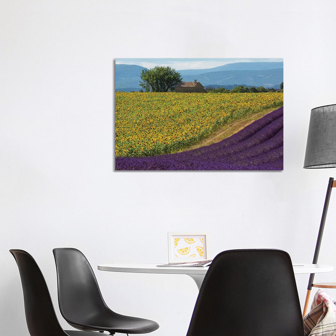 France, Provence. Lavender Field In The Valensole Plateau. by Jaynes Gallery - Wrapped Canvas Gallery-Wrapped Canvas Giclée