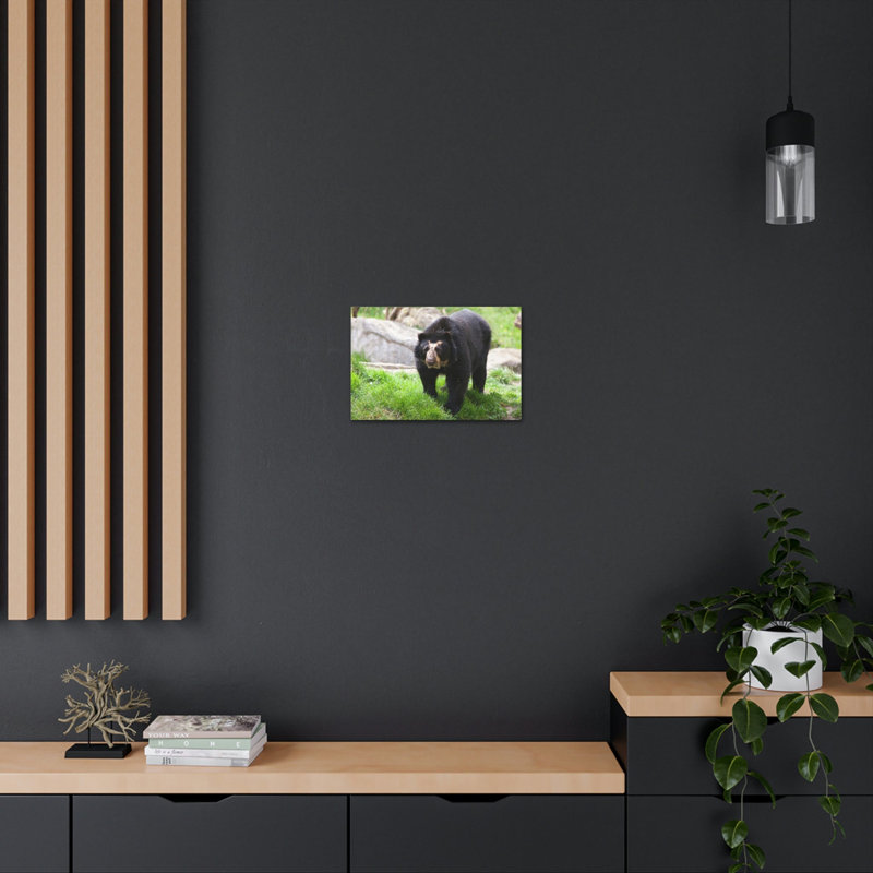 No Frame Print on Canvas, 11cm H x 14cm W