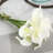 Lillies Arrangement