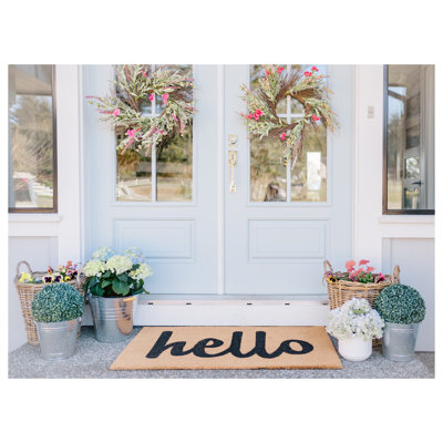 Carlaysia Non-Slip Outdoor Doormat