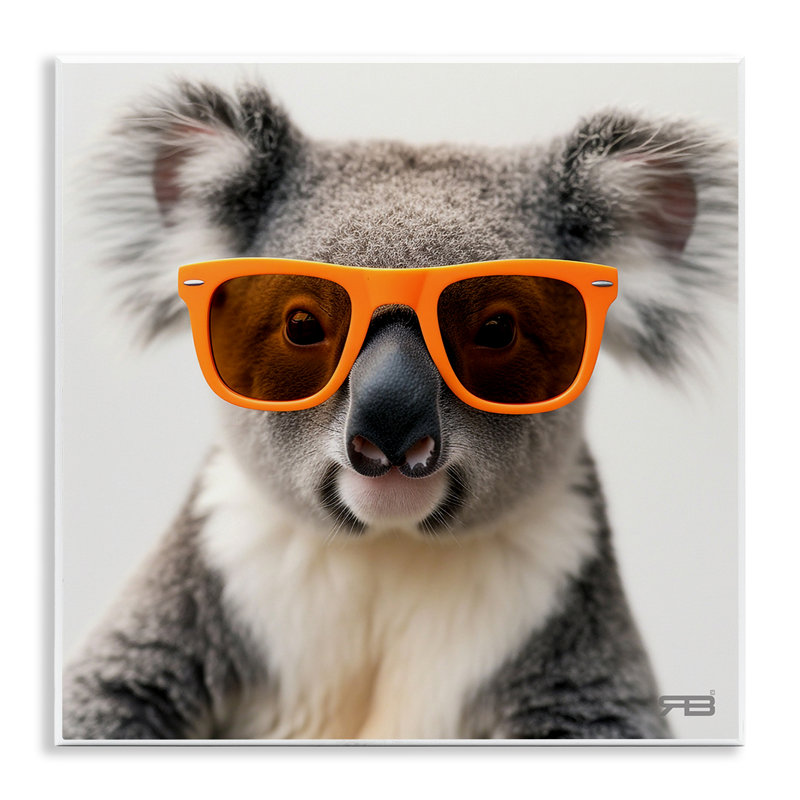 «Cool Koala» par Roozbeh Bahramali