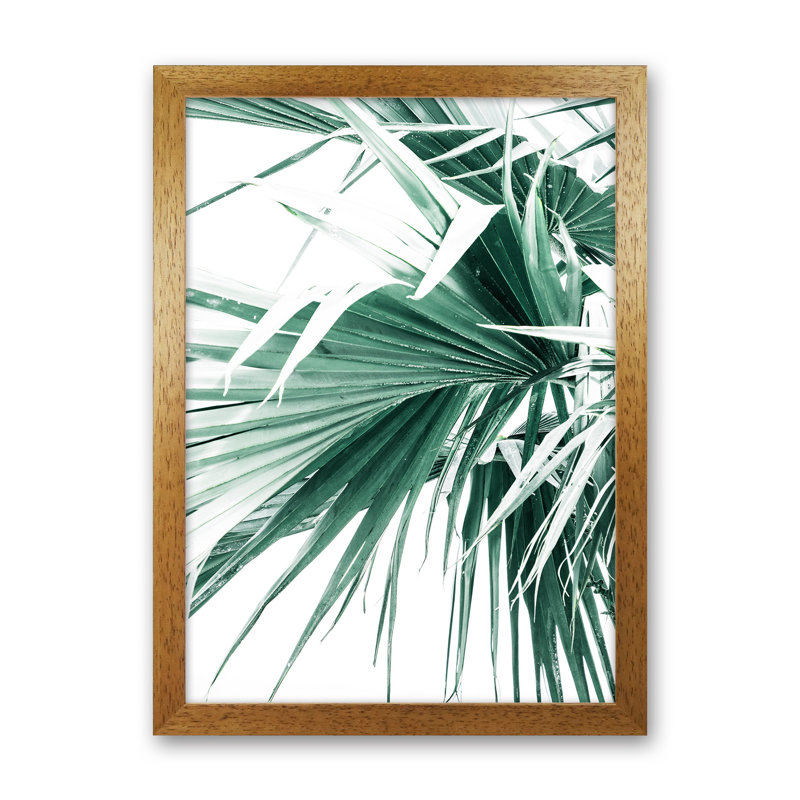 Palm Leaves 1 Piece Wall Art, 46cm H x 34cm W x 3cm D, Oak Framed