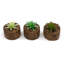 8cm Faux Succulent Plant in Cement Pot