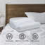 NightComforts Hollowfibre Deep Sleep Pillows