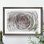 Pink Rose Flower Vol.3 - Picture Frame Drawing-62804211-62804210