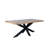 Discover Modern Elegance - Rectangle Dining Table with Mango Wood Top and Sturdy Spider Legs-832280149