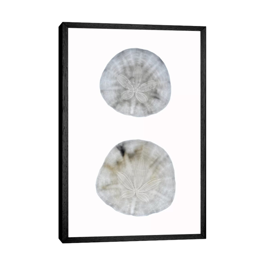 Silhouette Sand Dollars