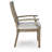 Springbrook Outdoor Arm Chair With Cushion (Set Of 2)