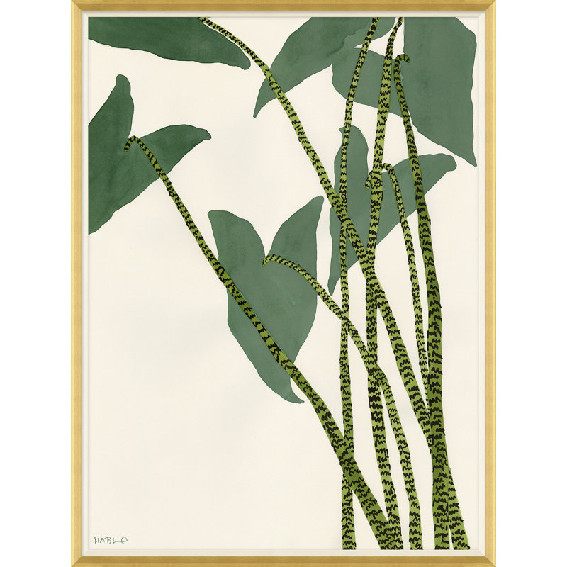 Caladium Giclee Print by Susan Hable