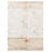 Murry Beige Rug