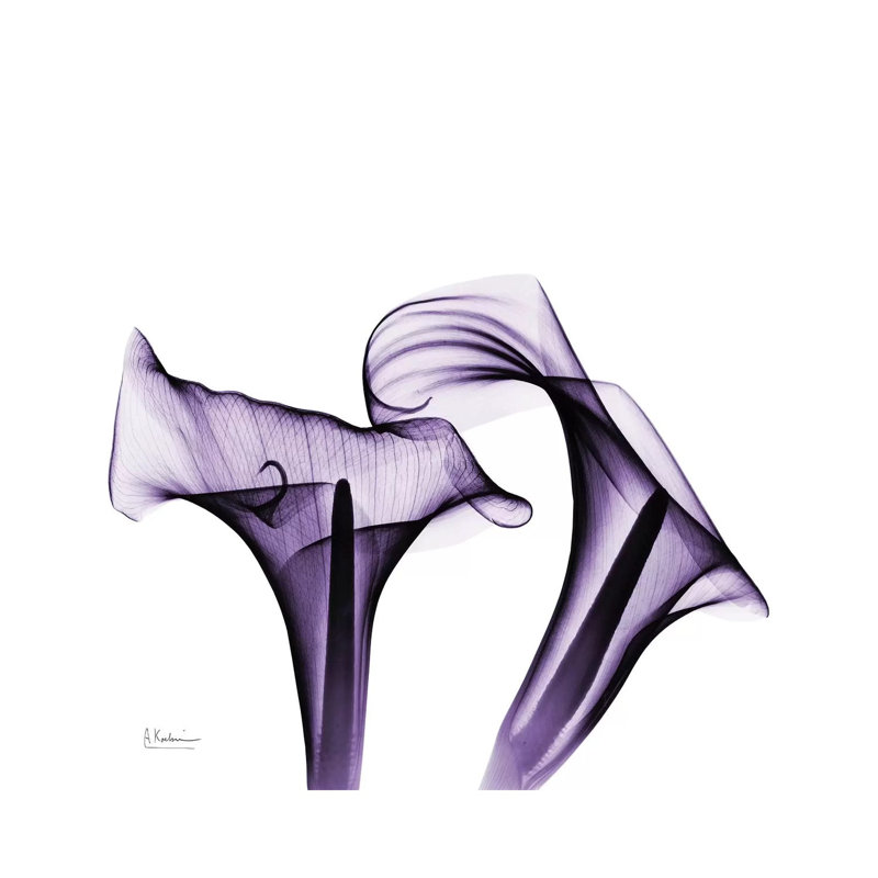 Calla Lilies I by Albert Koetsier - Wrapped Canvas Painting, 31cm H x 31cm W