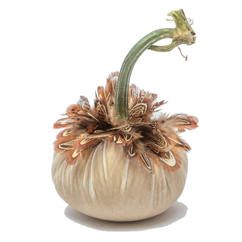 5" Cream Pumpkin w/Pheasant Feather Collar
