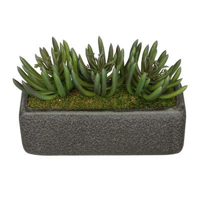 7'' Faux Succulent Plant in Ceramic Vase