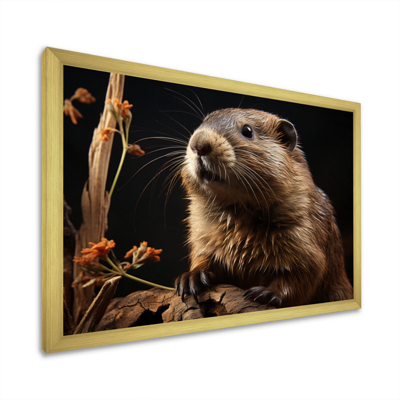Portrait de castor sur toile, H 34 po x l 44 po x P 1,5 po, Cadre flottant doré