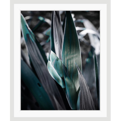 Leaves - Single Picture Frame Print