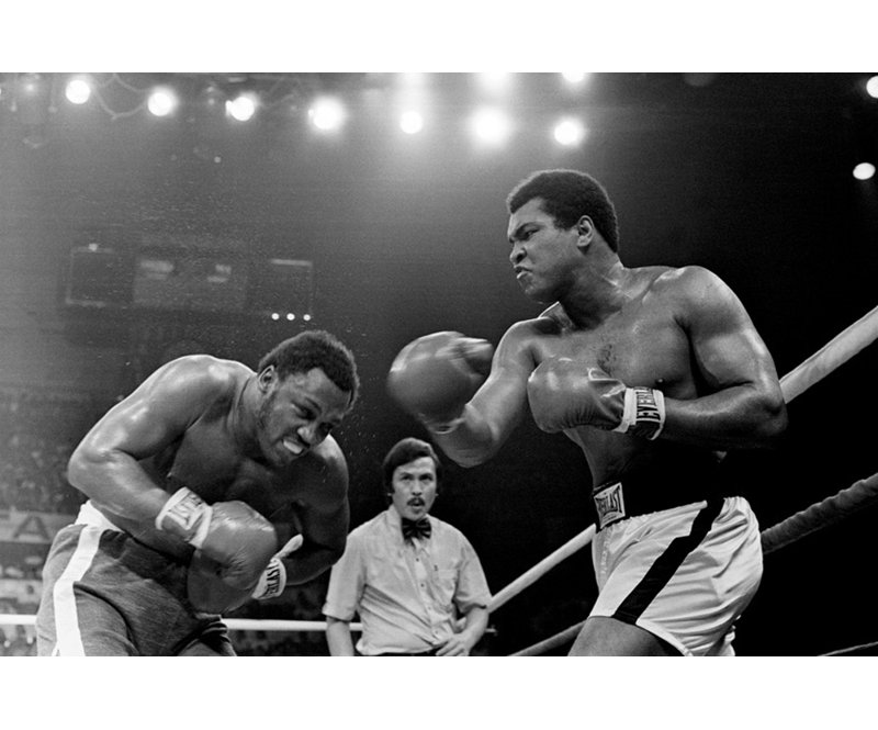 Muhammad Ali - Thrilla IMP-SB0013, H 12 po x l 18 po