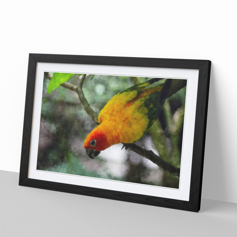 Parrot - Framed Print, 36cm H x 48cm W x 2cm D, Black Framed
