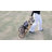 Pirecart 4-wheel Stable Pet Stroller For Medium Dogs/ Cats (55lbs Max) -3-in-1 Convertible Design With Removable Carrier & One-click Folding Mechanism-112650737