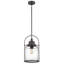 Luminaire suspendu en pot 1 lumière Payson-1058559942-1058584256