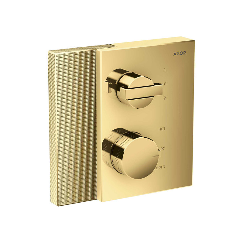 Edge Shower Arm and Bath Panels, Polished Gold Optic