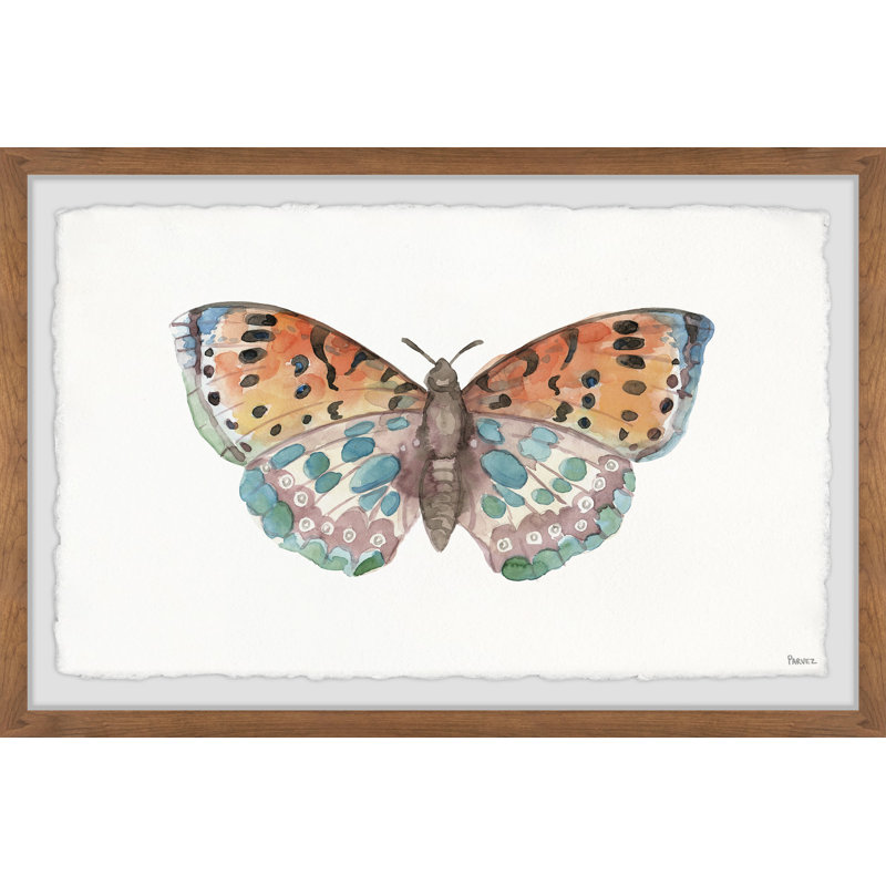 Parvez Taj - Single Picture Frame Print, 20 cm H x 30 cm W