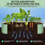 Raised Garden Bed-820090453