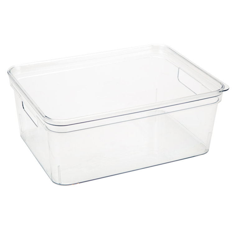 https://assets.wfcdn.com/im/94358735/resize-h755-w755%5Ecompr-r85/2094/209428225/Hiliana+Medium+Lidded+Food+Storage+Container.jpg