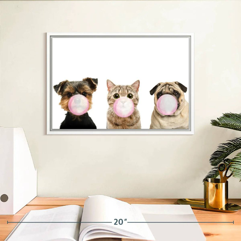 Bubble Gum, animaux de compagnie, Cadre flottant blanc, 13 po x 9 po