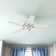 52" Builder Elite 5 - Blade Standard Ceiling Fan with Pull Chain