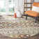 Aird Performance Southwestern Rug