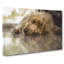 Cocker Spaniel Dog - Wrapped Canvas-61850669