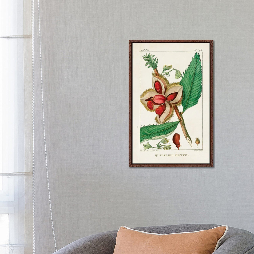 Turpin Foliage & Fruit II von Turpin - Floater Frame Gallery-Wrapped Canvas Giclée on Canvas