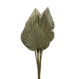 Erkson Arrangement