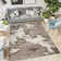 Aiya Performance Abstract Indoor Rug