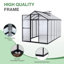 Walk-In Greenhouse-206435591-203280727