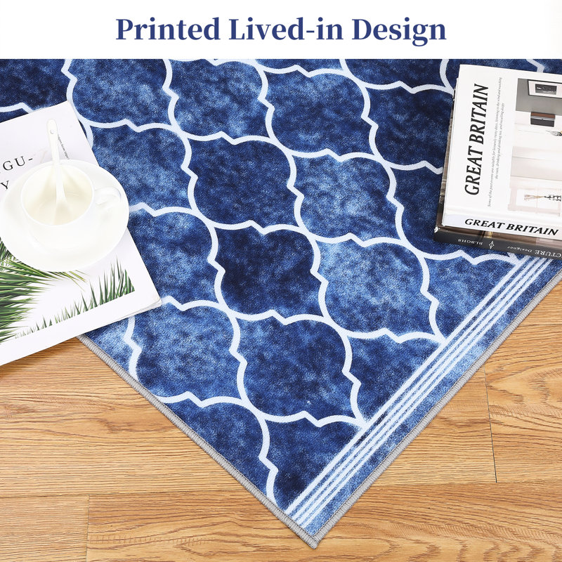 Ranisav Washable Moroccan Indoor Rug, Rectangle 5' x 7'