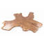 Table basse Brown Free Form Living Edge One Slab, 106 po x 86 po