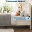 Structure de lit plateforme simple tapissier simple TG - tête de lit en velours, lattes en bois robustes, silencieux, sans sommier, assemblage facile - velours beige-130612456