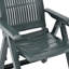 Carousel Garden Reclining Chairs Plastic-322097793