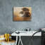 «Epic Graffiti» «First Light 1» par Julia Purinton, art mural sur toile-993552645