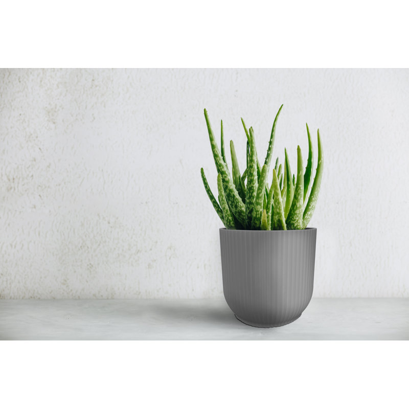Pot Planter, 12.90cm H x 14.50cm W x 14.50cm D